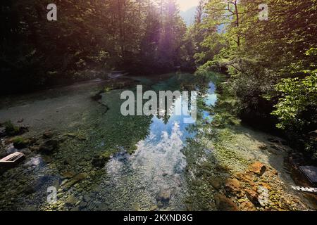 Smaragdgrünes Wasser der Sava Bohinjka in den Julianischen Alpen, Ukanc, Slowenien. Stockfoto