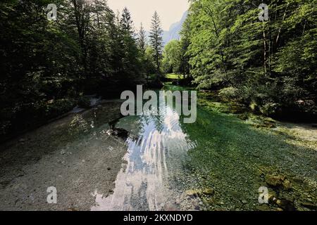 Smaragdgrünes Wasser der Sava Bohinjka in den Julianischen Alpen, Ukanc, Slowenien. Stockfoto