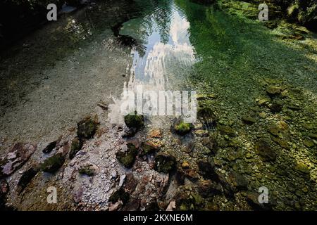 Smaragdgrünes Wasser der Sava Bohinjka in den Julianischen Alpen, Ukanc, Slowenien. Stockfoto