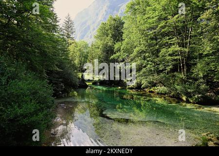 Smaragdgrünes Wasser der Sava Bohinjka in den Julianischen Alpen, Ukanc, Slowenien. Stockfoto