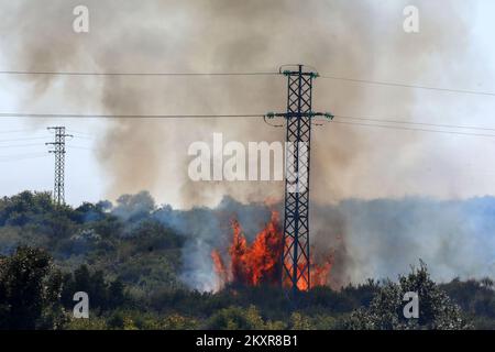 12. August 2021, Pula - In der näheren Umgebung von Pula, genauer gesagt zwischen Sikici und Skatari, Brach Ein Feuer aus, das mit Hilfe von Feuerwehrleuten aus Pula, Medulin, Fazana, Galizana und anderen DVDs und schließlich Kanadiern erfolgreich gelöscht wurde. Foto: Srecko Niketic/PIXSELL Stockfoto