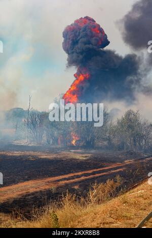 12. August 2021, Pula - In der näheren Umgebung von Pula, genauer gesagt zwischen Sikici und Skatari, Brach Ein Feuer aus, das mit Hilfe von Feuerwehrleuten aus Pula, Medulin, Fazana, Galizana und anderen DVDs und schließlich Kanadiern erfolgreich gelöscht wurde. Foto: Srecko Niketic/PIXSELL Stockfoto