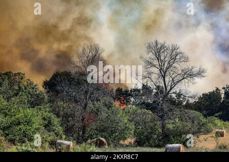 12. August 2021, Pula - In der näheren Umgebung von Pula, genauer gesagt zwischen Sikici und Skatari, Brach Ein Feuer aus, das mit Hilfe von Feuerwehrleuten aus Pula, Medulin, Fazana, Galizana und anderen DVDs und schließlich Kanadiern erfolgreich gelöscht wurde. Foto: Srecko Niketic/PIXSELL Stockfoto