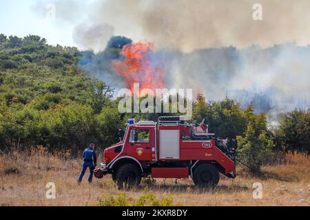 12. August 2021, Pula - In der näheren Umgebung von Pula, genauer gesagt zwischen Sikici und Skatari, Brach Ein Feuer aus, das mit Hilfe von Feuerwehrleuten aus Pula, Medulin, Fazana, Galizana und anderen DVDs und schließlich Kanadiern erfolgreich gelöscht wurde. Foto: Srecko Niketic/PIXSELL Stockfoto