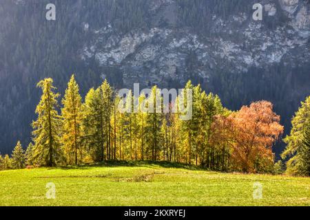 Mölltal, Kärnten, Oberkärnten, Jahreszeit, Herbst, Lärchen, braun, Tal, Berg, Sagritz, Apriach, Scheune, Heustadel, Schupfe, Mitteldorf, Bergbauernhof Stockfoto