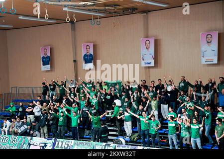 Aesch, Schweiz. 30.. November 2022. Aesch, Schweiz, November 30. 2022: Fans von Panathinaikos Athen feiern ihre Mannschaft während des Europacup-Volleyballspiels zwischen SM'Aesch gegen Panathinaikos Athen in Loehrenacker in Aesch, Schweiz (Daniela Porcelli/SPP) Credit: SPP Sport Press Photo. Alamy Live News Stockfoto