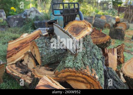 Elektrosäge im Hintergrund gesägter Stämme. Stockfoto