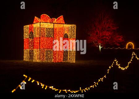 Midhurst, West Sussex, Großbritannien. 30. November 2022 Am Vorabend der Weihnachtsfeier im Cowdray Park im historischen Cowdray Park im Herzen des South Downs-Nationalparks gibt es atemberaubende Lichtpfade. Das magische, immersive Erlebnis zeigt eine Reihe wunderschöner großer Lichtkunstinstallationen, um die Magie dieser wunderbarsten Zeit des Jahres festzuhalten. Geschenk. Kredit: Carolyn Jenkins/Alamy Live News Stockfoto