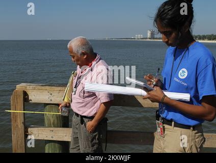 Biloxi, Mississippi, 2. Oktober 2012, FEMA Corps Mitglied Vathani Logendran hilft dem Spezialisten für öffentliche Unterstützung Nick Samson bei der Bewertung der Schäden durch Hurrikan Isaac am Kolosseum Pier. Die FEMA und die Mississippi Emergency Management Agency arbeiten zusammen, um Überlebenden zu helfen, sich von den Auswirkungen des Hurrikans Isaac zu erholen. David Fine/FEMA Mississippi Hurrikan Isaac. Fotos zu Katastrophen- und Notfallmanagementprogrammen, Aktivitäten und Beamten Stockfoto