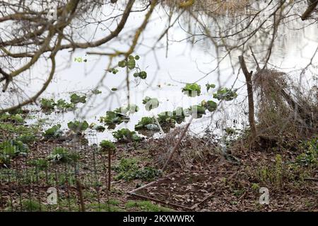 Blick auf ein Hochwassergebiet bei Knin, Kroatien, am 28. Dezember 2021. Der Wasserstand stieg in den Flüssen und überfluteten Straßenübergängen und Brücken. Foto: Dusko Jaramaz/PIXSELL Stockfoto