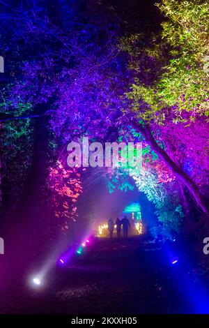 Midhurst, West Sussex, Großbritannien. 30.. November 2022 Am Vorabend der Weihnachtsfeier im Cowdray Park im historischen Cowdray Park im Herzen des South Downs-Nationalparks gibt es atemberaubende Lichtpfade. Das magische, immersive Erlebnis zeigt eine Reihe wunderschöner großer Lichtkunstinstallationen, um die Magie dieser wunderbarsten Zeit des Jahres festzuhalten. Kredit: Carolyn Jenkins/Alamy Live News Stockfoto