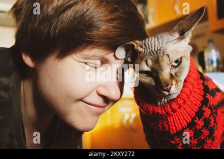 Eine Frau, die Katze liebt. Sie reibt ihren Kopf an den Kopf der Katze. Die beliebte kanadische Sphynx-Rasse. Geliebte und kahlköpfige Katze in rotem Pulli. Menschliches Haustier - Loyalität, Affe Stockfoto