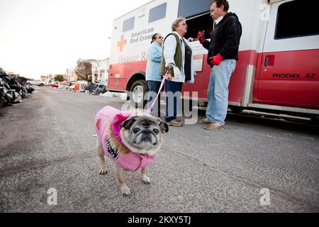 Long Island, New York, 9. November 2012 das amerikanische Rote Kreuz liefert Nahrung an die Überlebenden von Hurrikan Sandy und ihre Haustiere in einer Gegend von Long Island. Der Hurrikan führte zu weitreichenden Überschwemmungen, Stromausfällen und Verwüstungen in der Region. Die FEMA arbeitet mit staatlichen und lokalen Beamten zusammen, um die vom Hurrikan Sandy betroffenen Bewohner zu unterstützen. Andrea Booher/FEMA. New York Hurrikan Sandy. Fotos zu Katastrophen- und Notfallmanagementprogrammen, Aktivitäten und Beamten Stockfoto