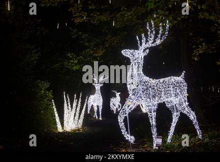 Midhurst, West Sussex, Großbritannien. 30. November 2022 Am Vorabend der Weihnachtsfeier im Cowdray Park im historischen Cowdray Park im Herzen des South Downs-Nationalparks gibt es atemberaubende Lichtpfade. Das magische, immersive Erlebnis zeigt eine Reihe wunderschöner großer Lichtkunstinstallationen, um die Magie dieser wunderbarsten Zeit des Jahres festzuhalten. Winterwunderland. Kredit: Carolyn Jenkins/Alamy Live News Stockfoto