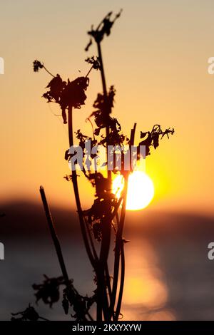 Ein Blick auf den magischen Sonnenuntergang auf Okrug Gornji. In der Nähe von Trogir, Kroatien am 24. März 2022. Foto: Miroslav Lelas/PIXSELL Stockfoto
