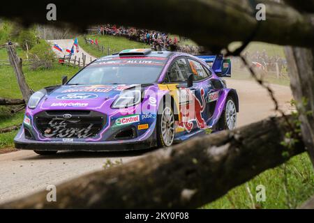 ZAGREB, KROATIEN - APRIL 23: Craig Breen von Irland und Paul Nagle von Irland treten am 22. April 2022 in Zagreb, Kroatien, an Tag 3 der FIA-Weltmeisterschaft Kroatien mit ihrem M-Sport Ford WRT Ford Puma Rally1 gegeneinander an. Foto: Luka Stanzl/PIXSELL Stockfoto