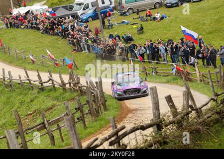 ZAGREB, KROATIEN - APRIL 23: Craig Breen von Irland und Paul Nagle von Irland treten am 22. April 2022 in Zagreb, Kroatien, an Tag 3 der FIA-Weltmeisterschaft Kroatien mit ihrem M-Sport Ford WRT Ford Puma Rally1 gegeneinander an. Foto: Luka Stanzl/PIXSELL Stockfoto