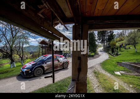 KUMROVEC, KROATIEN - APRIL 24: Elfyn Evans und Scott Martin aus Großbritannien treten am vierten Tag der FIA-Weltmeisterschaft Kroatien am 24. April 2022 in Kumrovec, Kroatien, in Toyota GR Yaris Rally1 gegeneinander an. Foto: Igor Kralj/PIXSELL Stockfoto