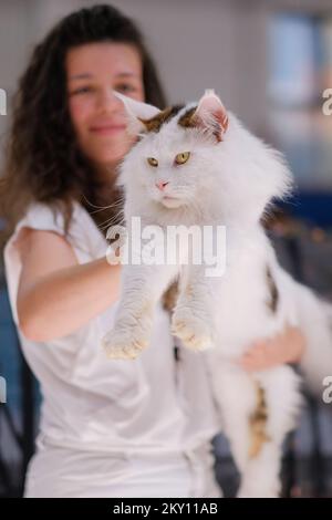 Katzenbesitzer zusammen mit ihren Haustieren auf der International Cat Show, die am 21. Mai 2022 in der Sporthalle Martinovka in Zagreb, Kroatien, stattfindet. Die vom Felis Croatia Cat Club (KMFC) organisierte Internationale Cat Show, derzeit der größte felinologische Club in Kroatien in Bezug auf die Anzahl aktiver Züchter von Katzenrassen, findet am Wochenende des 21. Und 22. Mai in der Martinovka Sports Hall in FER statt. KMFC ist Mitglied der World Feline Association, World Cat Federation (WCF). Foto: Tomislav Miletic/PIXSELL Stockfoto