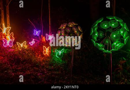 Midhurst, West Sussex, Großbritannien. 30. November 2022 Am Vorabend der Weihnachtsfeier im Cowdray Park im historischen Cowdray Park im Herzen des South Downs-Nationalparks gibt es atemberaubende Lichtpfade. Das magische, immersive Erlebnis zeigt eine Reihe wunderschöner großer Lichtkunstinstallationen, um die Magie dieser wunderbarsten Zeit des Jahres festzuhalten. Flattern. Kredit: Carolyn Jenkins/Alamy Live News Stockfoto