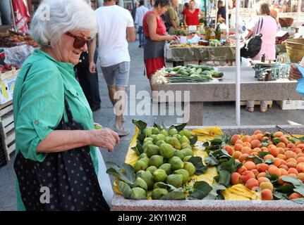 Am ersten Tag des Sommers kamen die ersten Feigen am 21. Juni 2022 in Sibenik, Kroatien, auf den Markt. Foto: Dusko Jaramaz/PIXSELL Stockfoto