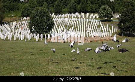 Im Rahmen des Gedenkens an den 27.. Jahrestag des Völkermordes, der im Juli 1995 in Srebrenica begann, wurden am 10 2022. Juli auf dem Friedhof des Srebrenica Memorial Center - Potocari Friedenstauben in Potocari, Bosnien und Herzegowina, in die Luft entlassen. Foto: Armin Durgut/PIXSELL Stockfoto