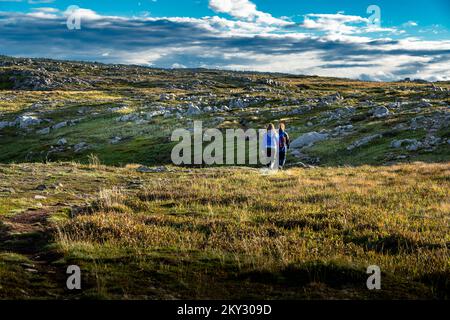 Mutter und Tochter auf einem Spaziergang über die mossige Tundra entlang des Klondike Trail in Neufundland, Kanada. Stockfoto