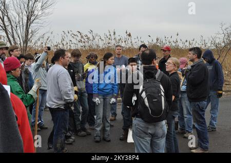 Freiwillige unterstützen Reinigungsbemühungen. Hurrikan Sandy Aus New Jersey. Fotos zu Katastrophen- und Notfallmanagementprogrammen, Aktivitäten und Beamten Stockfoto