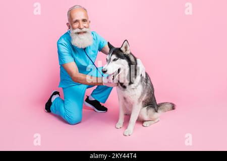 Foto eines glücklichen lächelnden älteren Tierarztes trägt blaue Uniform und hört großen Hund Herzschlag isolierter rosafarbener Hintergrund Stockfoto