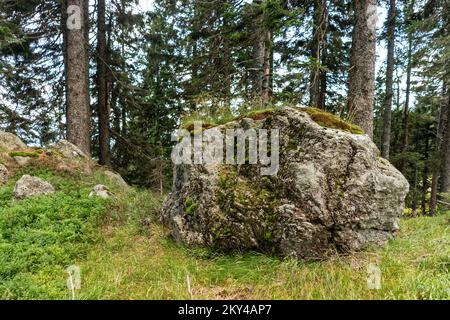 Andesite ist ein vulkanischer Felsen, den Sie auch in Slowenien finden können Stockfoto