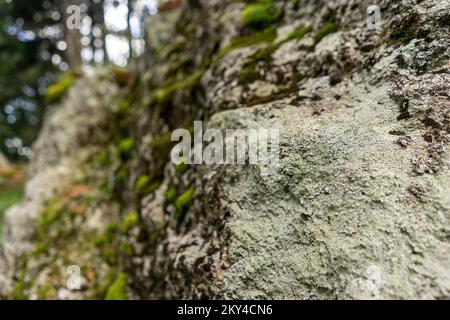 Andesite ist ein vulkanischer Felsen, den Sie auch in Slowenien finden können Stockfoto