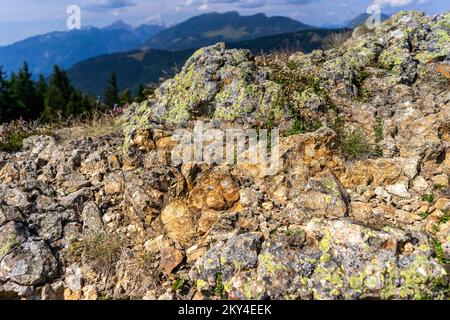 Andesite ist ein vulkanischer Felsen, den Sie auch in Slowenien finden können Stockfoto