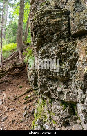 Andesite ist ein vulkanischer Felsen, den Sie auch in Slowenien finden können Stockfoto