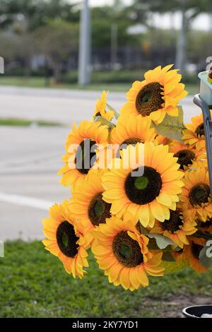 Foto von Sonnenblumen im Einkaufswagen eines Straßenverkäufers. Stockfoto