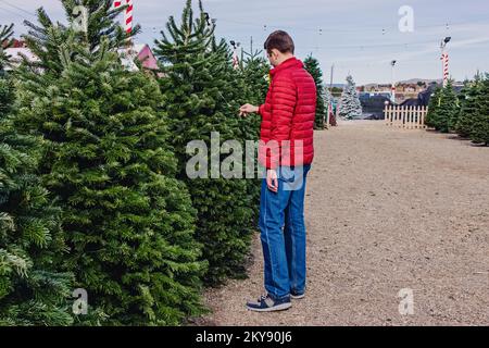 Ein Mann in einer roten Jacke, der einen Weihnachtsbaum auf dem Weihnachtsmarkt aussucht. Ich schaue auf das Preisschild Stockfoto