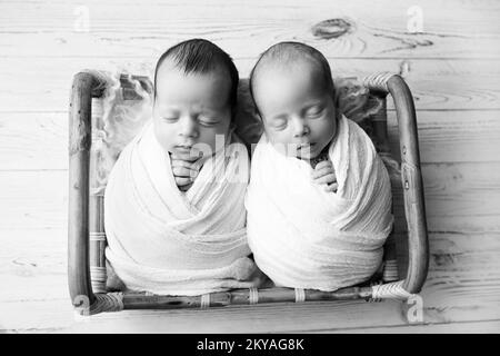 Winzige neugeborene Zwillingsjungen in einem Holzkorb mit Bärenspielzeug. Stockfoto