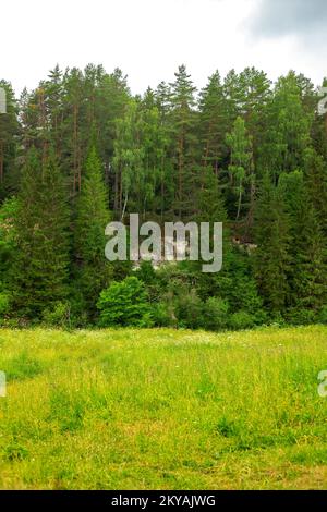 Kreidefelsen in der Nähe des Flusses Derzha, Region Tver, Russland wunderschöne Natur Hintergrund Stockfoto