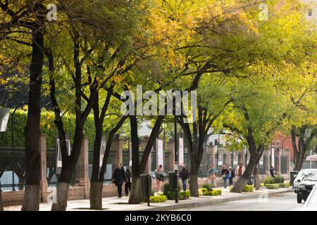 Santiago de Querétaro, Querétaro, Mexiko - 22. November 2022: Fußgänger schlendern entlang des zentralen Parks von Alameda Hidalgo im historischen Zentrum von Queré Stockfoto