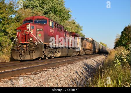 Bartlett, Illinois, USA. Zwei Lokomotiven, darunter eine Einheit der Union Pacific Railroad, treiben einen Güterzug durch Illinois an. Stockfoto