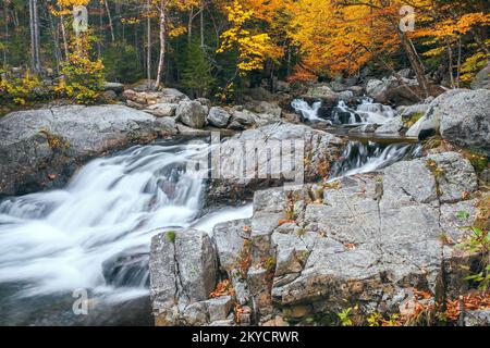 Kleine Wasserfälle direkt stromabwärts von Crystal Cascades auf dem Ellis River. Tuckerman Ravine Trail. Jackson. New Hampshire. USA Stockfoto