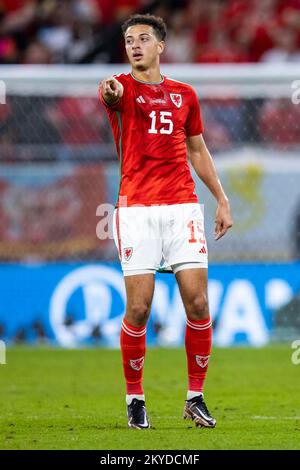 Ar Rayyan, Katar. 29.. November 2022. Fußball: Weltmeisterschaft, Wales - England, Vorrunde, Gruppe B, Spieltag 3, Ahmed bin Ali Stadion, Ethan Ampadu von Wales Gesten. Kredit: Tom Weller/dpa/Alamy Live News Stockfoto