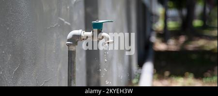 Leitungswasser für den Garten zur Bewässerung von Pflanzen. Stockfoto