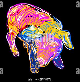 Schwein. Farbenfrohes Schweinefleisch im Grafikstil, abstrakte Vektordarstellung von Hand mit großen Malstrichen. Stock Vektor