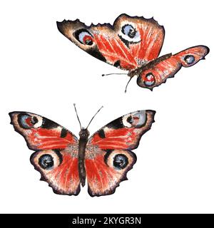 Handgezeichnete Aquarell-Schmetterlinge. Zwei isolierte Elemente des großen Sets. Aquarelle Abbildungen für Verpackungsdesign, Druckprodukte Stockfoto