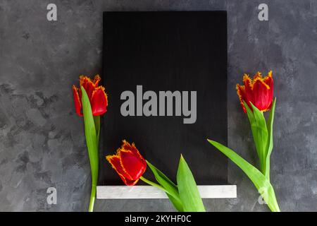 Schwarzes Kreidetafelmodell mit roten Tulpenblumen auf dunkelgrauem Betonhintergrund. Blackboard-Menü-Staffel. Textinhalt kopieren, Umsatz hinzufügen. B Stockfoto