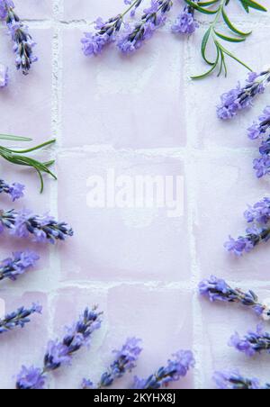 Lavendel blüht und hinterlässt einen kreativen Rahmen auf einem rosa Fliesenhintergrund. Draufsicht, flach liegend. Florale Komposition Stockfoto