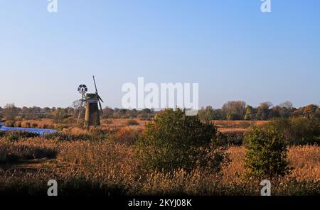 Blick über den Fluss Ant bis zur Turf Fen Drainage Mill und Sümpfe mit Schilfbeeten im Herbst auf den Norfolk Broads aus How Hill, Norfolk, England, Großbritannien. Stockfoto