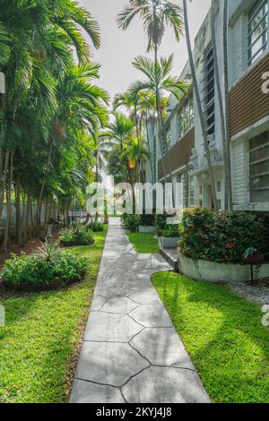 Ausgekleidete Betonpflaster vor einem Gebäude an der Bucht in Miami, Florida. Pfad auf dem Hof mit Gras, Pflanzen und Bäumen außerhalb des Gebäudes Stockfoto