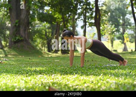 Starke sportliche Frau, die Yoga übt, Push-ups oder Plank-Posen vor einem wunderschönen Naturpanorama-Hintergrund macht Stockfoto