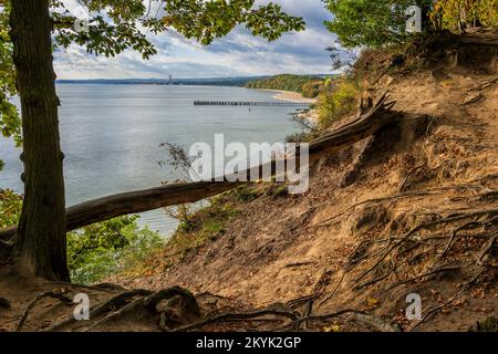 Gdynia, Polen, Landschaft mit umgestürzten Bäumen und Blick auf die Ostseebucht und den Orłowo-Pier vom Naturschutzgebiet Kępa Redłowska. Stockfoto